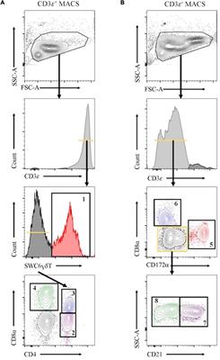 Reference Transcriptomes of Porcine Peripheral Immune Cells Created Through Bulk and Single-Cell RNA Sequencing